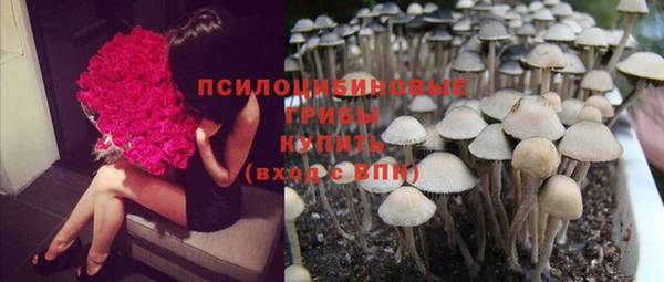 не бодяженный Баксан