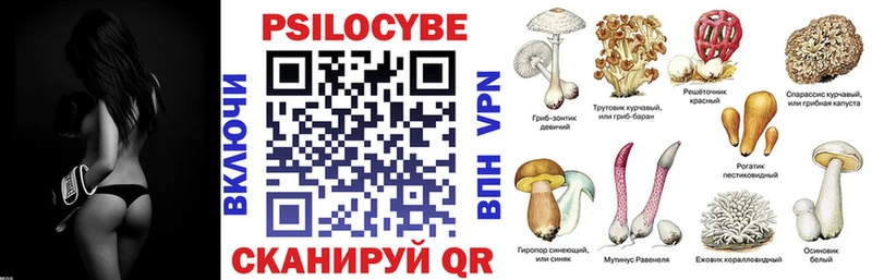 kraken ONION магазин наркотиков Лермонтов Галлюциногенные грибы мицелий